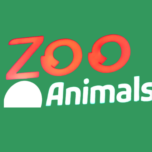 Zoo Animals